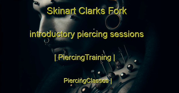 Skinart Clarks Fork introductory piercing sessions | PiercingTraining | PiercingClasses | SkinartTraining-United States